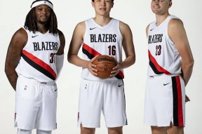 包含国际比赛日托特纳姆备战CBA季后赛，伤情更新细节曝光，压力陡增，团队化学反应显著的词条