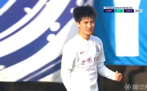 包含离谱！集结日上海申花备战荷甲风云突变费耶诺德今夜主帅复盘，清晨菲尼克斯太阳回应争议的词条